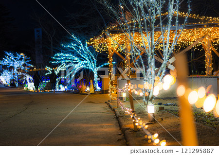 Winter illumination Shibata Fantasy Illumination 2024 Shibata Town, Miyagi Prefecture 121295887