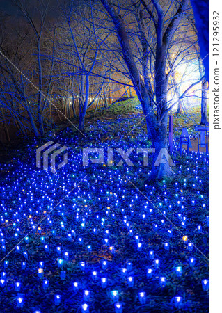 冬季彩燈 柴田奇幻彩燈2024 宮城縣柴田町 121295932