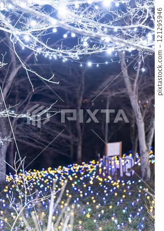 Winter illumination Shibata Fantasy Illumination 2024 Shibata Town, Miyagi Prefecture 121295946