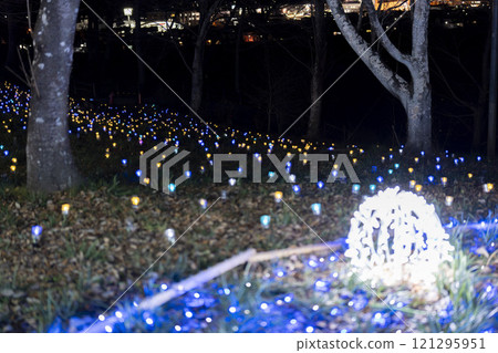 Winter illumination Shibata Fantasy Illumination 2024 Shibata Town, Miyagi Prefecture 121295951