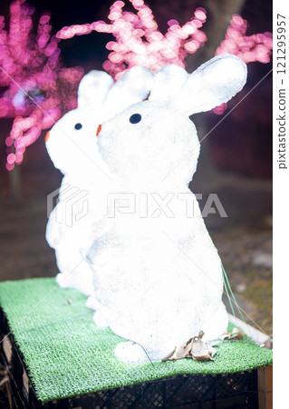 Winter illumination Shibata Fantasy Illumination 2024 Shibata Town, Miyagi Prefecture 121295957