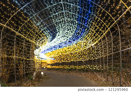 Winter illumination Shibata Fantasy Illumination 2024 Shibata Town, Miyagi Prefecture Winter illumination Shibata Fantasy Illumination 2024 Shibata Town, Miyagi Prefecture 121295960