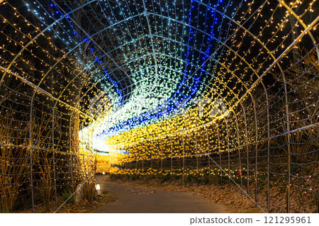 Winter illumination Shibata Fantasy Illumination 2024 Shibata Town, Miyagi Prefecture 121295961