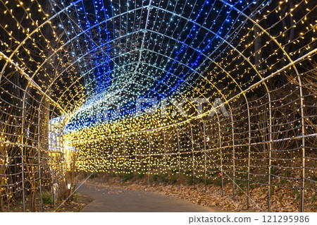 Winter illumination Shibata Fantasy Illumination 2024 Shibata Town, Miyagi Prefecture 121295986