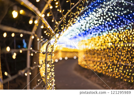 Winter illumination Shibata Fantasy Illumination 2024 Shibata Town, Miyagi Prefecture Winter illumination Shibata Fantasy Illumination 2024 Shibata Town, Miyagi Prefecture 121295989
