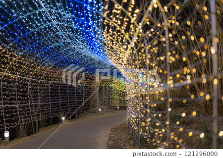 Winter illumination Shibata Fantasy Illumination 2024 Shibata Town, Miyagi Prefecture 121296000