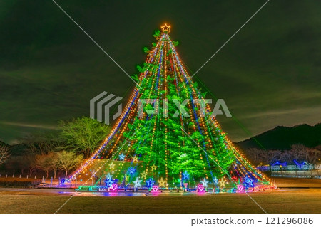 The illuminated Christmas tree at Miyagase The illuminated Christmas tree at Miyagase 121296086