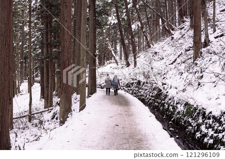Winter promenade 121296109
