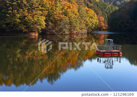 241108 Dam Lake z001 121296169