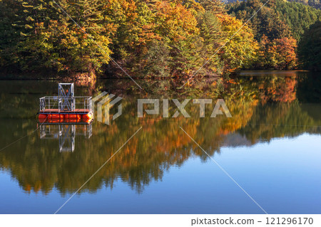 241108 Dam Lake z007 121296170