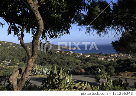 Le Cap Negre, Le Lavandou, French Riviera, Var, France 121296348