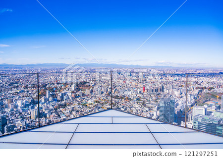 [Tokyo] Tokyo cityscape as seen from SHIBUYA SKY 121297251