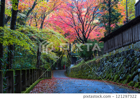 241111 Hie Shrine z001 121297322