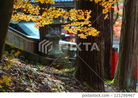 241112 日枝神社 m040 121298467