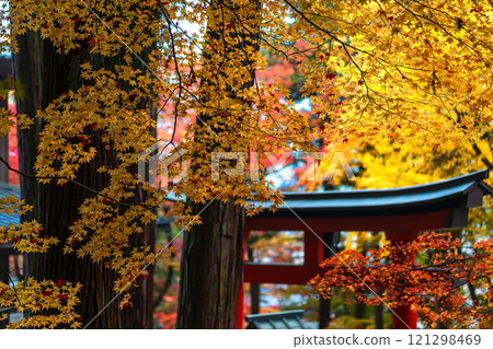 241112 日枝神社 m047 241112 日枝神社 m047 121298469