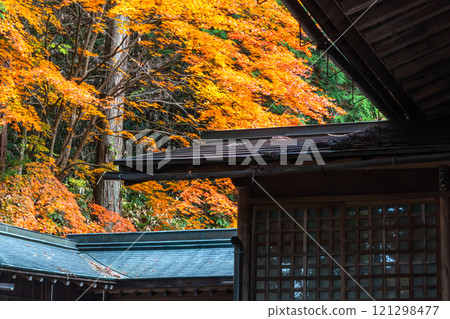 241112 Hie Shrine m122 121298477