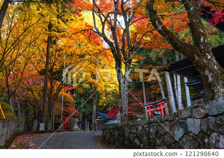 241113 日枝神社 z011 241113 日枝神社 z011 121298640