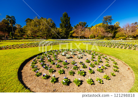 City Botanic Gardens in Brisbane Australia City Botanic Gardens in Brisbane Australia 121298818