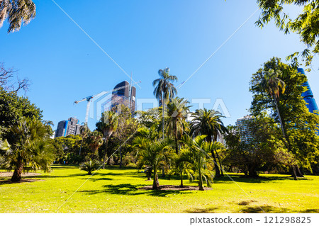 City Botanic Gardens in Brisbane Australia City Botanic Gardens in Brisbane Australia 121298825