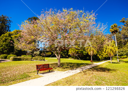 City Botanic Gardens in Brisbane Australia City Botanic Gardens in Brisbane Australia 121298826