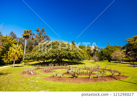 City Botanic Gardens in Brisbane Australia City Botanic Gardens in Brisbane Australia 121298827