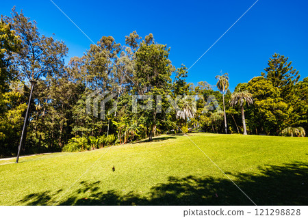 City Botanic Gardens in Brisbane Australia City Botanic Gardens in Brisbane Australia 121298828