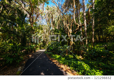 City Botanic Gardens in Brisbane Australia City Botanic Gardens in Brisbane Australia 121298832