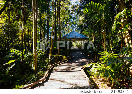City Botanic Gardens in Brisbane Australia 121298835