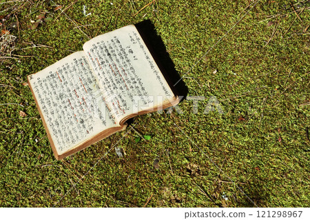 Ancient documents and moss 02 Ancient documents and moss 02 121298967