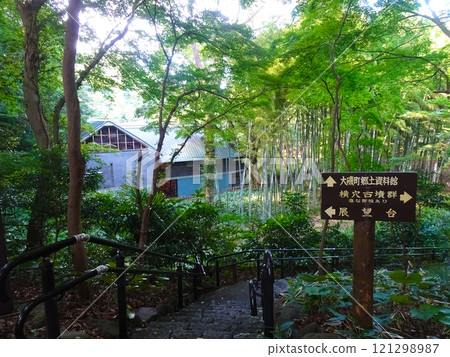 大磯城山公園（神奈川縣大磯町） 121298987