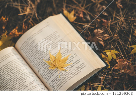 Autumn reading season: books and autumn leaves Autumn reading season: books and autumn leaves 121299368