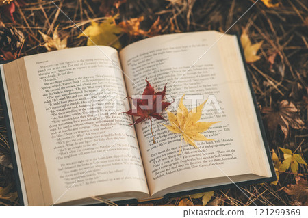 Autumn reading season: books and autumn leaves Autumn reading season: books and autumn leaves 121299369