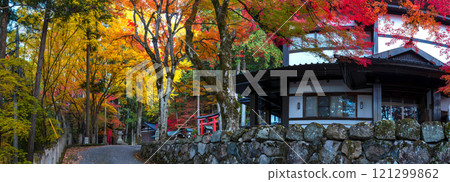 241113 日枝神社 z043-051-S 241113 日枝神社 z043-051-S 121299862