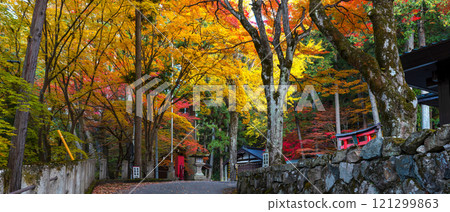 241113 日枝神社 z053-058-S 241113 日枝神社 z053-058-S 121299863