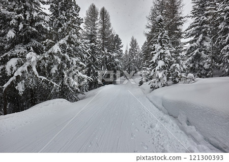 Winter Snowy Mountain Landscape 121300393