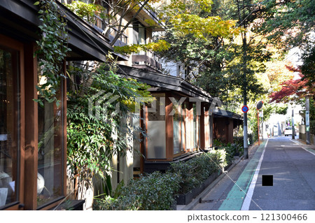 世田谷和羽木森林的秋葉 世田谷和羽木森林的秋葉 121300466