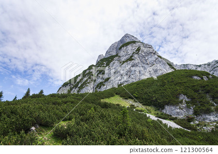 Path to the Angerstein mountain summit, Alps, Gosau, Gmunden district, Upper Austria federal state, sunny summer day, clear blue sky Path to the Angerstein mountain summit, Alps, Gosau, Gmunden district, Upper Austria federal state, sunny summer day, clear blue sky 121300564