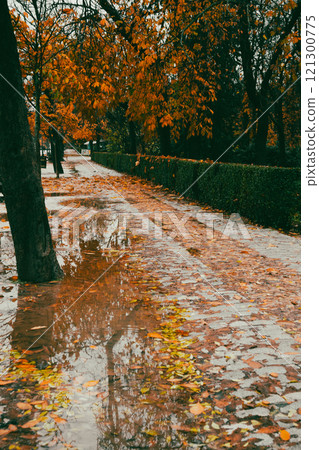 A sidewalk with fallen leaves in an autumn park on a rainy day. Autumnal parkland with puddles in wet day. Rainy weather outdoors. Cold season. 121300775