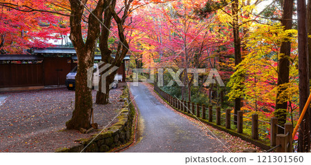 241113 日枝神社 z109-114-S 241113 日枝神社 z109-114-S 121301560