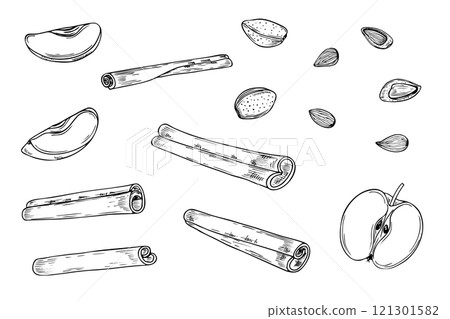 Fruit slices, nuts, and cinnamon sticks set line art black ink sketch. Apples, almond and seasoning monochrome illustration hand painted. Ingredients for the design of invitation, advertising posters. 121301582