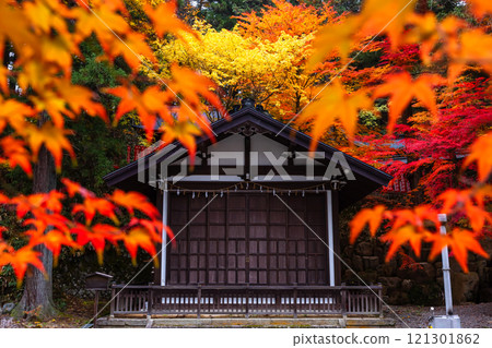 241114 Hie Shrine z035 241114 Hie Shrine z035 121301862