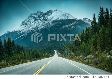 Road trip with rocky mountains and pine forest on the road during autumn in Banff national park, Canada Road trip with rocky mountains and pine forest on the road during autumn in Banff national park, Canada 121302151