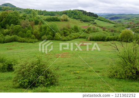 mountainous countryside in spring. cloudy weather. wet grass on the hills. trees with lush foliage 121302252