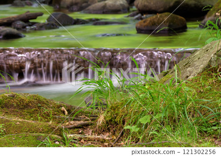 brook in the green forest. recreation wallpaper. water flows among mossy stones and trees. beautiful parks and outdoors nature background in summer. refreshing purity 121302256