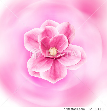 FLOWER WITH BIG PETALS and soft background texture FLOWER WITH BIG PETALS and soft background texture 121303416