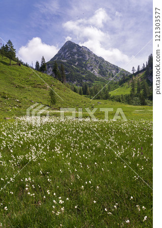 Donnerkogel Mountain in Alps, Gosau, Gmunden district, Upper Austria federal state, sunny summer day 121303577