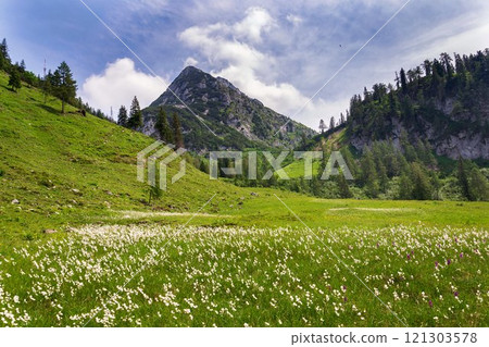 Donnerkogel Mountain in Alps, Gosau, Gmunden district, Upper Austria federal state, sunny summer day 121303578