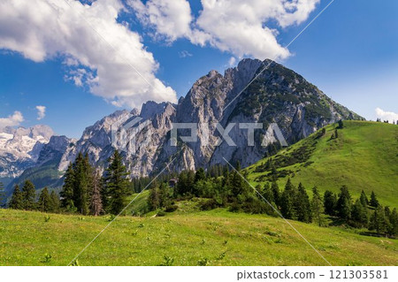 Donnerkogel Mountain in Alps, Gosau, Gmunden district, Upper Austria federal state, sunny summer day 121303581