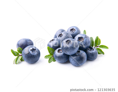 Blueberries with twig on white backgrounds Blueberries with twig on white backgrounds 121303635