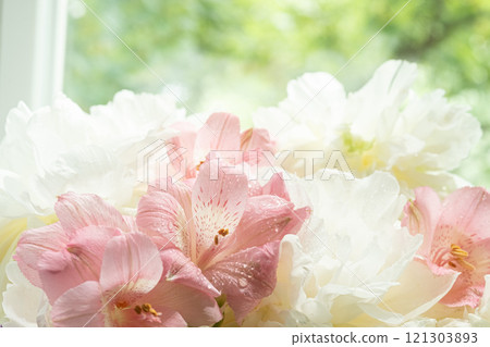 Soft Pink and White Flowers peonies and alstroemeria in Sunlit Window Soft Pink and White Flowers peonies and alstroemeria in Sunlit Window 121303893